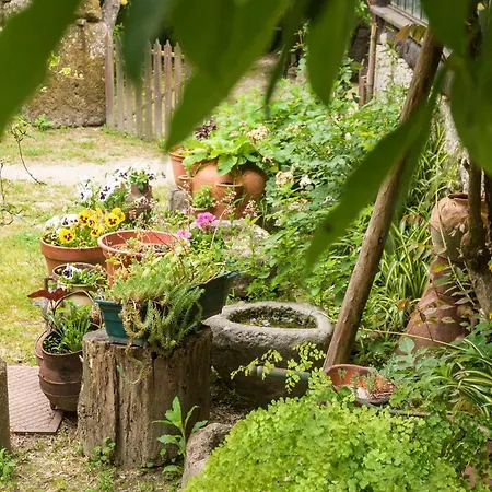 Chalé da Quinta Lavoura da Bouça - Fruta Bio-2